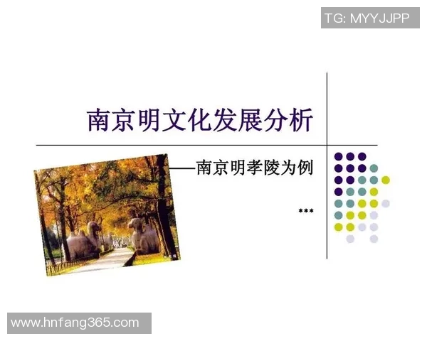 南京排球队的精神风貌与团队意识探讨与分析